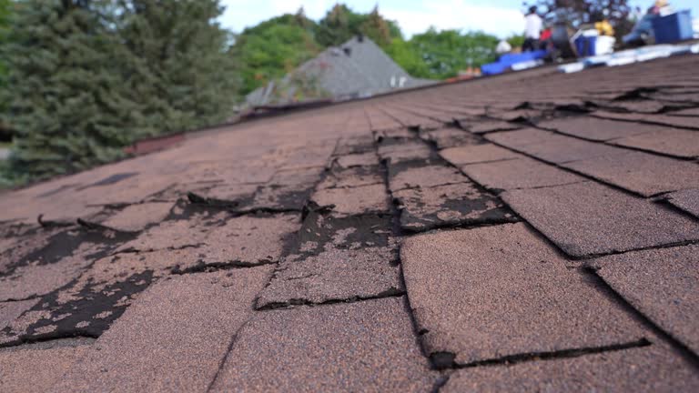 Best Steel Roofing  in Weidman, MI