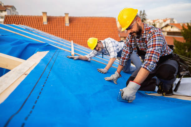 Best Cold Roofs  in Weidman, MI
