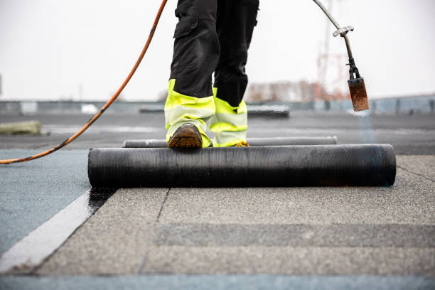 Best Rubber Roofing (EPDM, TPO)  in Weidman, MI