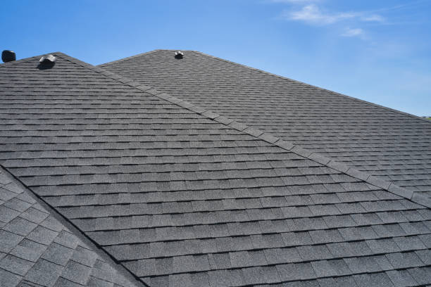Best Solar Panel Roofing Installation  in Weidman, MI