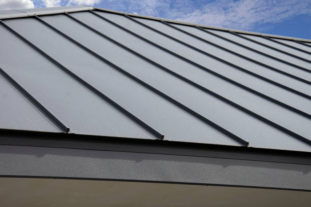 Best Roof Maintenance and Cleaning  in Weidman, MI